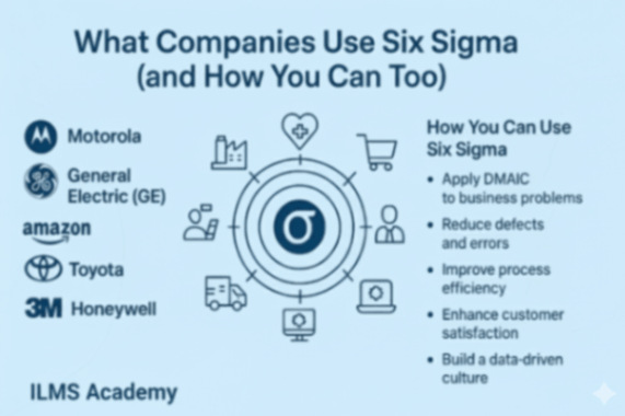 What Companies Use Six Sigma (and How You Can Too)